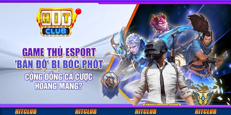 Game thủ Esport 'bán độ' bị bóc phốt – cộng đồng cá cược hoang mang?
