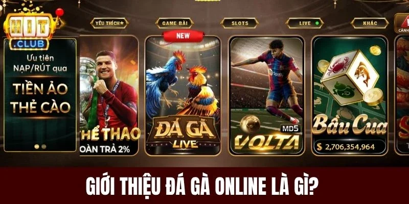 Giới thiệu đá gà online là gì? 